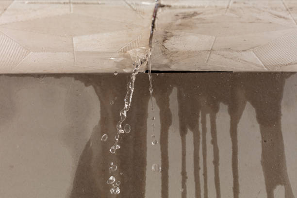 Professional Structural Drying technician working in Hillsboro, AL